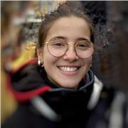 Sintaxis y comprensión de textos